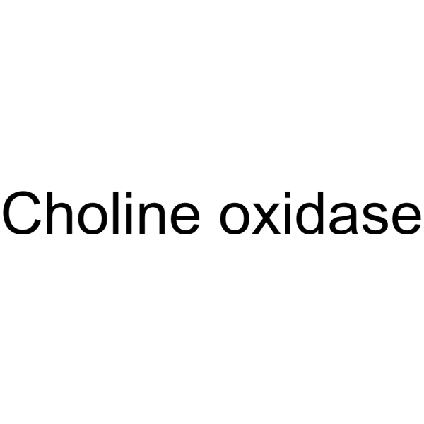 Choline oxidase 9028-67-5